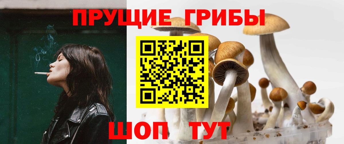 Звенигород  Псилоцибиновые грибы мицелий  даркнет сайт  Вход с VPN 